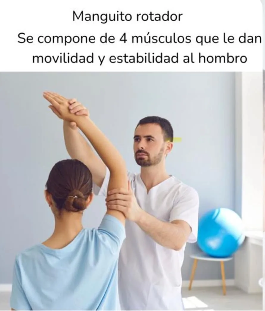 Contenido educativo sobre manguito rotador